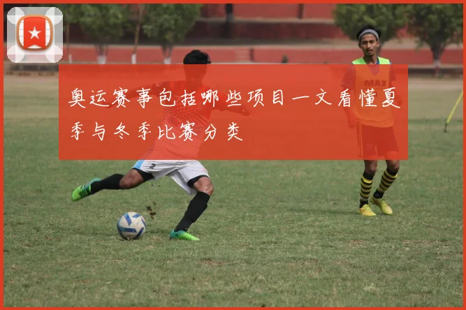奥运赛事包括哪些项目一文看懂夏季与冬季比赛分类